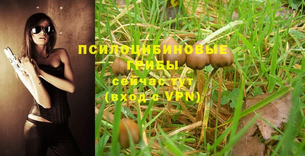 дживик Богородицк