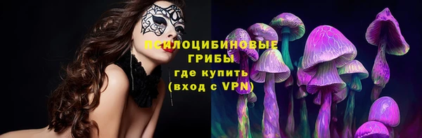 крисы Богданович