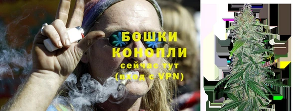 дживик Богородицк