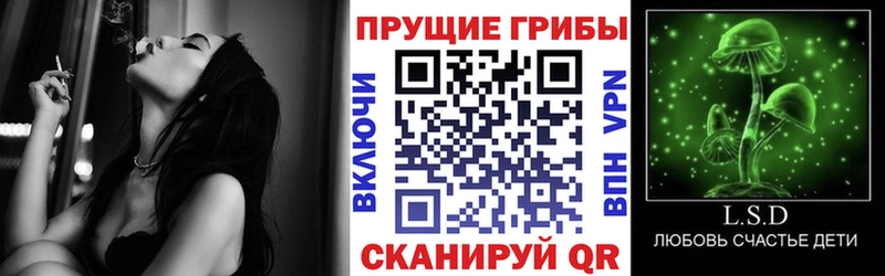 Псилоцибиновые грибы ЛСД Троицк